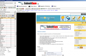 dizin-kayit dizin kayit 300x194 Dizin Kayıt Yazılımları: SubmitEaze