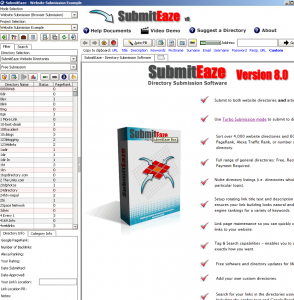 submiteaze ana ekranı submiteaze1 294x300 Dizin Kayıt Yazılımları: SubmitEaze